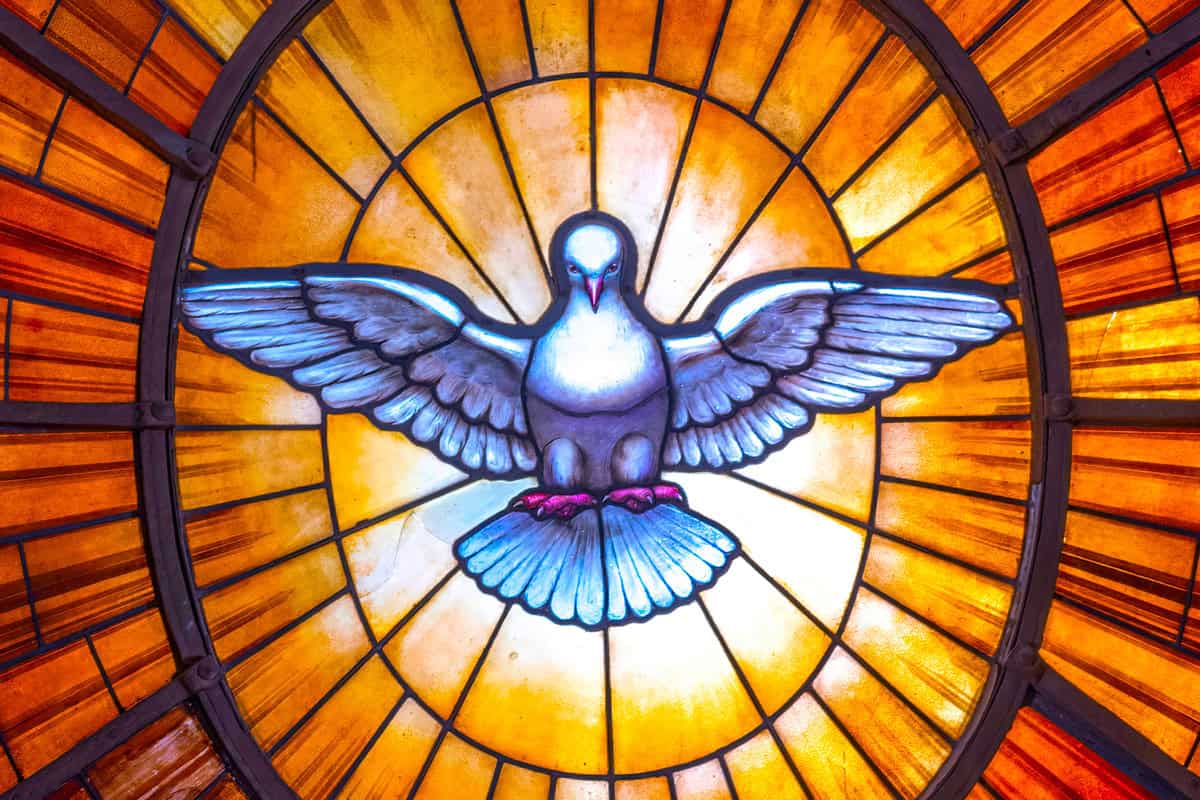 Heiliger Geist, Taube